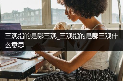 三观指的是哪三观_三观指的是哪三观什么意思